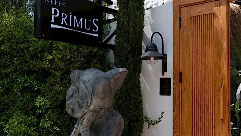 Garaj ve Yaya Kapıları